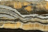 Polished Banded Zebra Calcite Slab - Mexico #308124-1